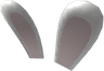 Bunny Ears